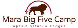mara big five logo